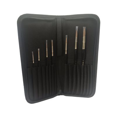 Case with brushes 310