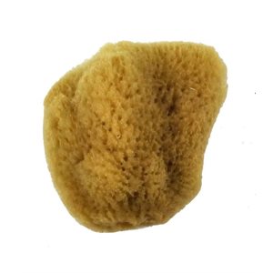Natural silk sea sponge #3